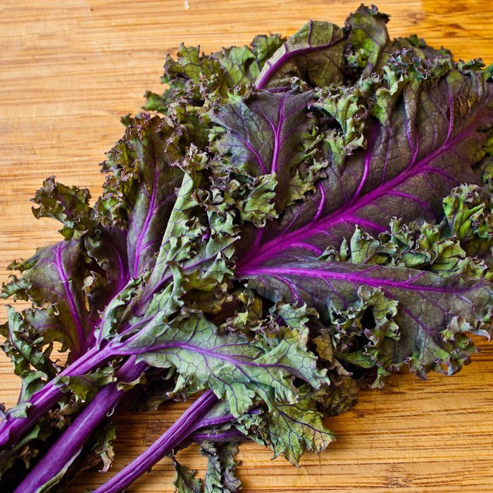 Kale Red Russian