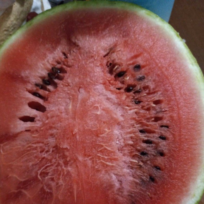 Oh So Sweet Watermelon