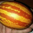 Rich Sweetness Mini Melon