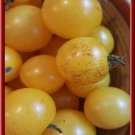 Red Speck Yellow Cherry Tomato
