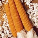 Yellow Lady Finger Popcorn