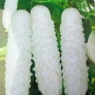 20Pcs White Cucumber Seeds Cucumis Sativus Vegetable Fruit Plant