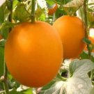 20Pcs Seeds Fresh Earth Sweet Organic Red Melon Seeds #5220