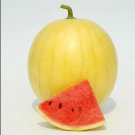 Heirloom 'Huang Pi Qiu' Yellow Skin Red Watermelon 20Pcs Seeds