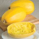 Vegetable Spaghetti Winter Squash Seeds