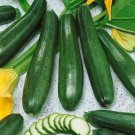 Zucchini Elite Squash Seeds
