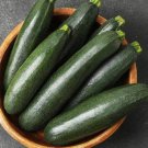 Black Beauty Summer Squash Seeds