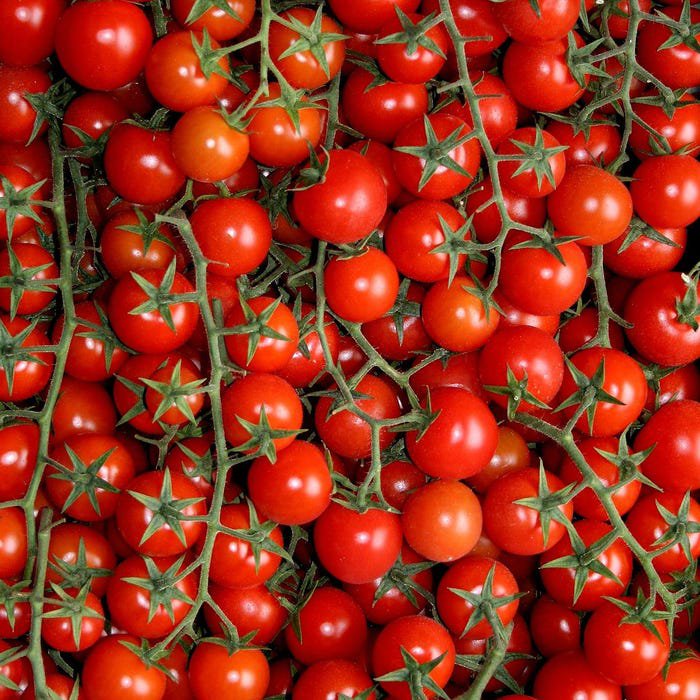 Sweet Million Cherry Tomato Seeds