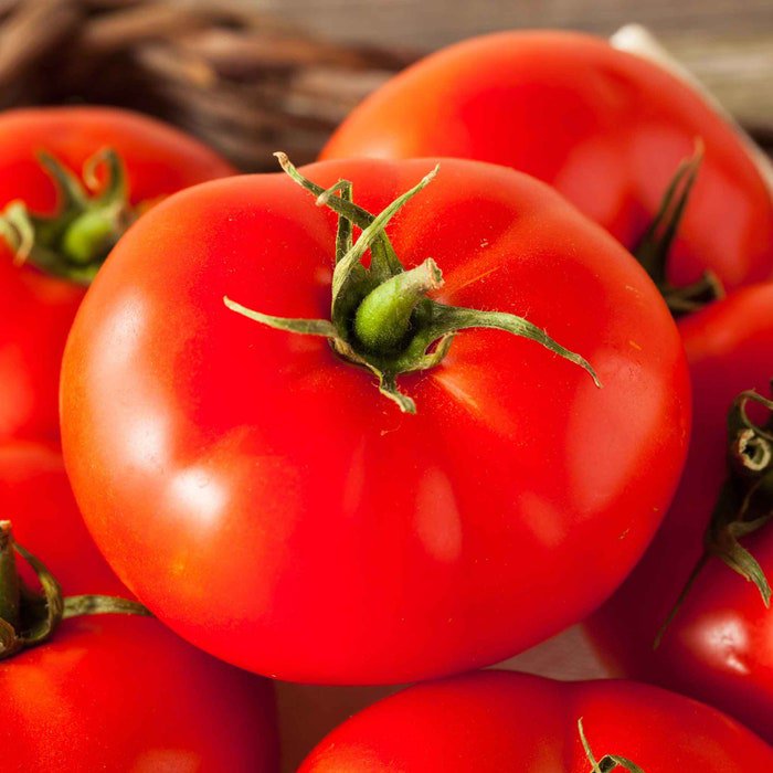 Goliath Tomato Seeds