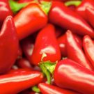 Nu Mex College 64L Pepper Seeds