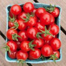 Matt'S Wild Cherry Tomato Seeds