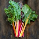 Rainbow Mix Swiss Chard Seeds