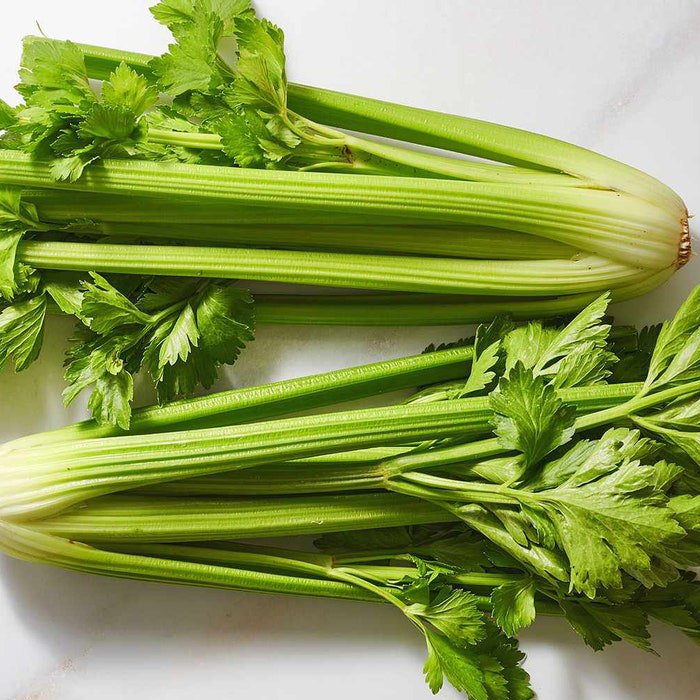 Golden Self-Blanching Celery Seeds