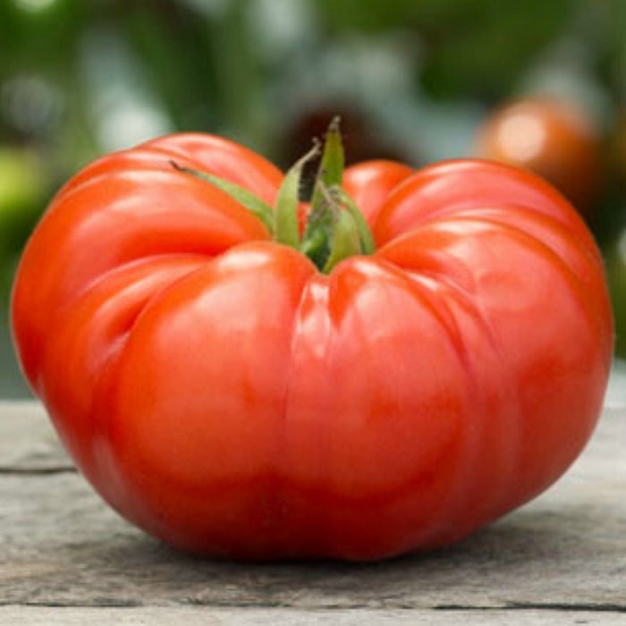 Coustralee Tomato Seeds