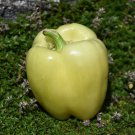 Diamond Sweet Bell Pepper Seeds