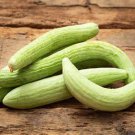 Armenian Pale Green Cucumber Seeds