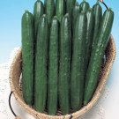 Soarer Cucumber Seeds