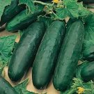 Marketer Cucumber Seeds