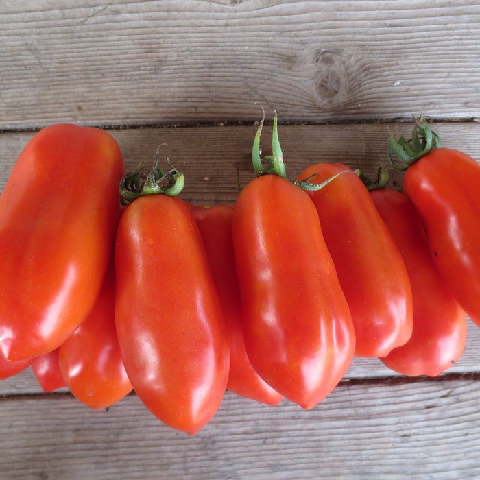 San Marzano Paste Tomato Seeds