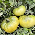 Aunt Ruby'S German Green Tomato Seeds