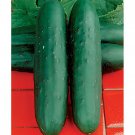 Dasher Ii Cucumber Seeds