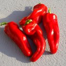 Gypsy Sweet Pepper Seeds