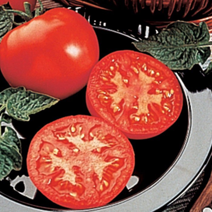 Husky Tomato Seeds