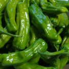 Pepperoncini Italian Sweet Pepper Seeds