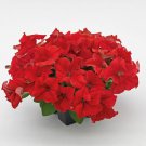 Petunia Seeds Petunia Success 360 Red 250 Pelleted Seeds