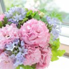 Pelleted Lisianthus Seeds Voyage Pink 25 Pelleted Seeds