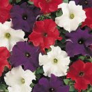 Petunia Seeds Petunia Dreams Patriot Mix 250 Pelleted Seeds