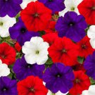 Petunia Seeds Petunia Fotofinsh Patriot Mix 100 Pelleted Seeds Trailing Petunia