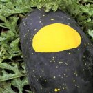 15 Red Moon And Stars Watermelon Seeds Seeds Grow Up To 35Lbs
