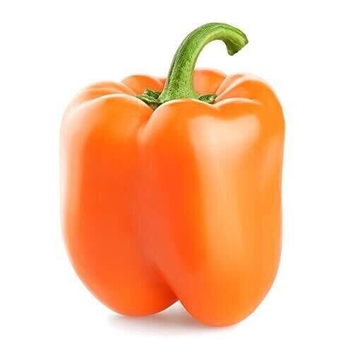 30 Organic Orange Sun Sweet Bell Pepper Seeds Fresh Garden