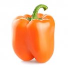 30 Organic Orange Sun Sweet Bell Pepper Seeds Fresh Garden