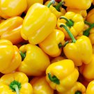 50 Organic Golden California Wonder Bell Sweet Pepper Seeds Fresh Garden