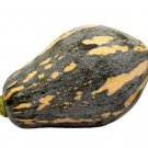 10 Taro Flavor Pumpkin Seeds Xiangyu Nangua Chinese Winter Squash