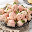 100 White Strawberry Seeds Pineberry Hula Berry Alpine Berry Container Garden