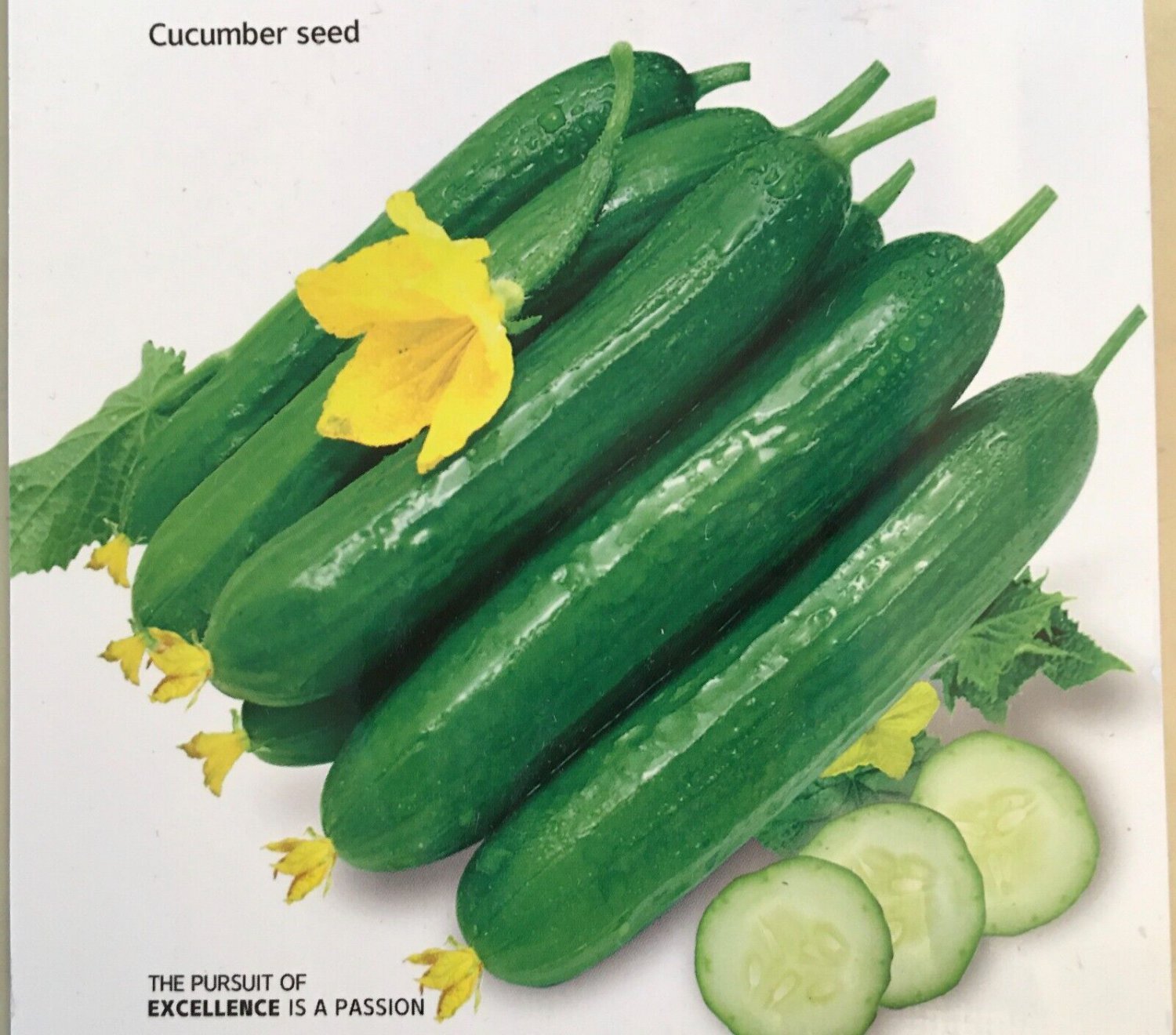 15 Chinese Fruit Cucumber Seeds Burpless Persian Mini Cucumber