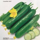 15 Chinese Fruit Cucumber Seeds Burpless Persian Mini Cucumber