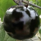30 Round Black Eggplant Seeds High Yield Tasty Green Asian Garden Vegetable