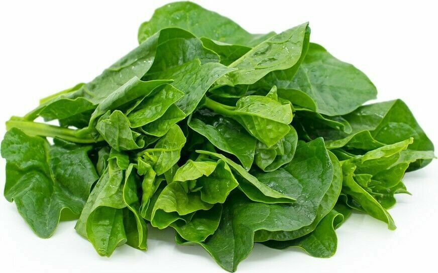 50 Green Malabar Spinach Seeds Mongtoi Mu Er Cai Ceylon Spinach Vine Spinach