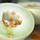 25 Green Flesh Honeydew Melon Seeds Cucumis Melo Sweet Juicy Fruit Melon
