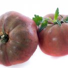 50 Organic Black Krim Tomato Seeds Large Beefsteak Rare Russian