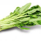 50 White Stem Water Spinach Seeds Ong Choy,Kong Xin Cai,Heavy Producer Fresh
