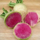 200 Watermelon Radish Seeds Chinese Red Heart Radish Beauty Heart