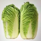 200 Chinese Cabbage Seeds Big Heading Cabbage Bok Choy