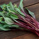 200 Purple Choy Sum Seeds Hon Tsai Tai Kosaitai Chinese Flowering Cabbage