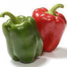 50 California Wonder Bell Sweet Pepper Seeds Fresh
