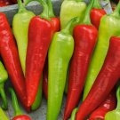 50 Sweet Banana Pepper Seeds Capsicum Annuum Fresh
